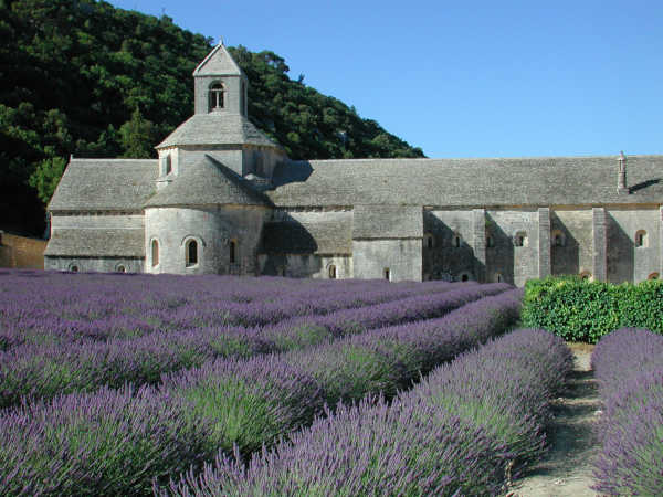 Sénanque Abbey